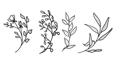 Hand-drawn spring flowers with petals and leaves. Vector illustration. Set of summer plants and wildflowers isolated on a white background. Summer, meadow, garden, and Easter themes. © Elena