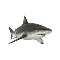 Obraz premium A shark swims in the dark waters with its mouth open