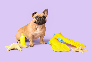 Cute French bulldog with sunscreen, flippers and starfishes on lilac background © Pixel-Shot