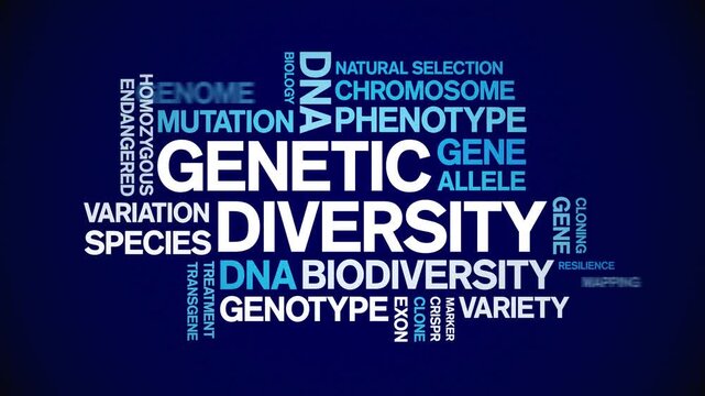 Genetic Diversity animated word cloud-text design animation tag kinetic typography seamless loop.