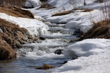 Streams Awakening from Winter Snow