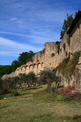 Naklejka premium The historic medieval center of the Italian hill town of San Gimignano, Italy