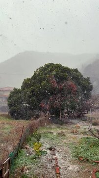 Vertical video of heavy snow falling over large tree in mountainous Fukuyama, Japan. Strong winter snowfall and peaceful rural atmosphere.