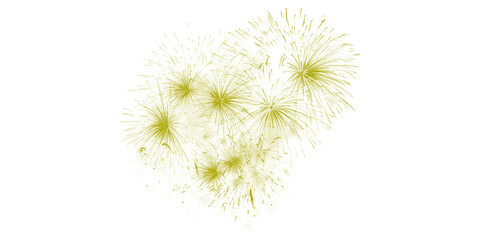 Obraz premium A vibrant fireworks display lights up the night sky with bright yellow explosions of color