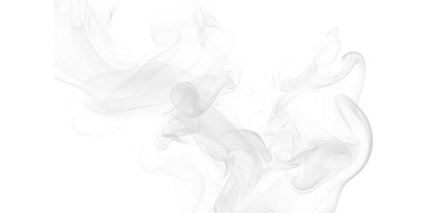 Fototapeta premium A mesmerizing display of smoke swirling against a dark background