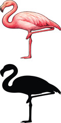 Obraz premium A vibrant pink flamingo stands gracefully illustration paired with its contrasting black silhouette