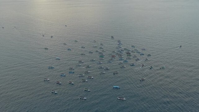 Aerial view of tourist boats chasing dolphins in lovina beach, bali