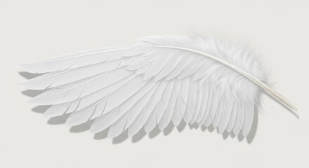 Naklejka premium A pristine white wing, feathers meticulously detailed, cast shadow on a light background