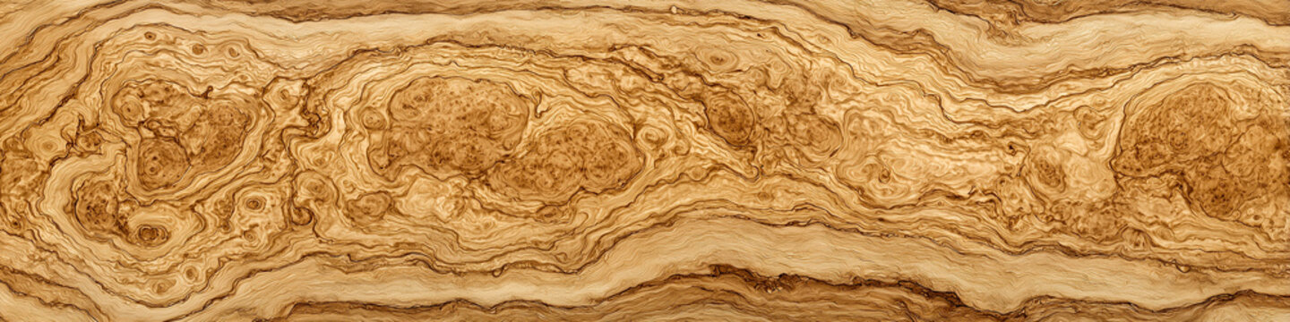 Polished Cocobolo wood banner with stunning variegated colors isolated on white background for premium design