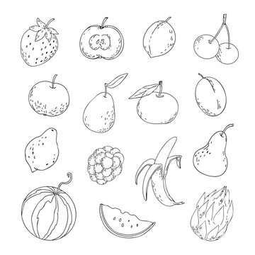 Vector set. Doodle fruits. Outline illustrations of fruits and berries. Strawberries, apples, plums, peaches, cherries, pears, raspberries, bananas, lemons, watermelons, and dragon fruit