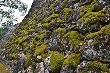 高知城　石垣と苔　高知県高知市