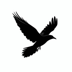 Obraz premium A black vector silhouette of a bird in flight against a white background