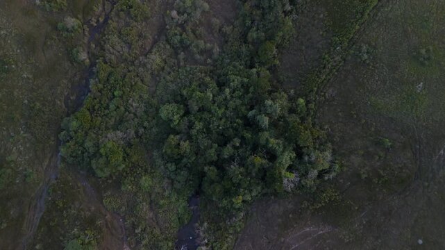 Vista a&eacute;rea de mata atl&acirc;ntica com curso de &aacute;gua