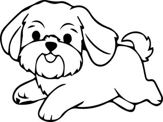 Obraz premium Shih Tzu dog puppy animal 