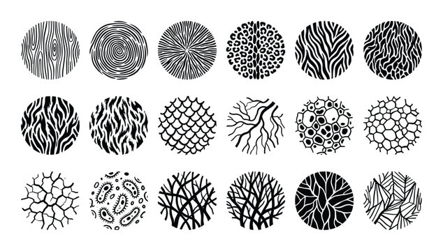 Circle textures pattern set. Organic cell, wood, fingerprint, scales, branch, leopard spots, zebra, virus textures