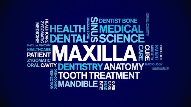 Maxilla animated word cloud-text design animation tag kinetic typography seamless loop.