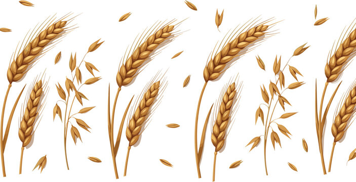 Wheat and oat seamless border vector. Golden cereal crop pattern illustration. Realistic agriculture grain design for organic packaging and farm branding.