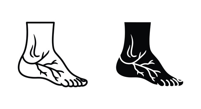 Human foot and ankle medical icons illustrating the vascular system and varicose veins for healthcare diagnosis and blood circulation treatment