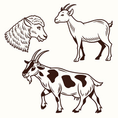 Fototapeta premium Farm Animals: Goat Head, Goat, and Cow with Spots