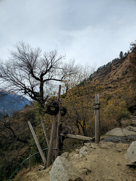 Vertical Landscape View of Rustic Wooden Structure with Coiled Cable and Leafless Tree on Rocky Mountain Trail in Himachal Pradesh.