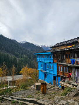 Vertical View of a Vibrant Bright Blue Traditional Wooden House Nestled in a Remote Himalayan Village Overlooking Dense Pine Forests and Snowy Peaks in Himachal Pradesh India.