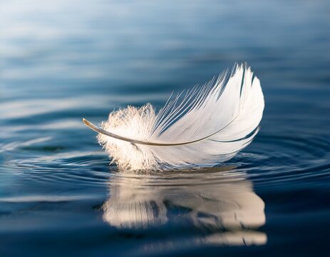 a single white feather drifting above water artwork