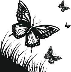 butterfly vector illustration