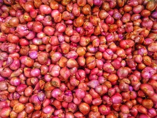Shallot or red onion pile texture. Fresh shallot on market table full frame photo with warm lighting. Healthy food spice image. Spicy cooking ingredient picture. Pile of red onion texture. 