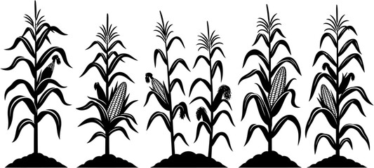 vector illustration corn tree © foggy