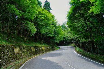 Obraz premium The mountain scenery of Mount Hiei in Japan