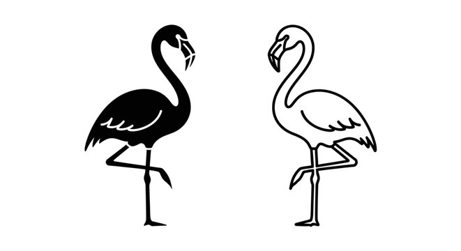 Black and white flamingo birds standing on one leg illustration vector design Vector