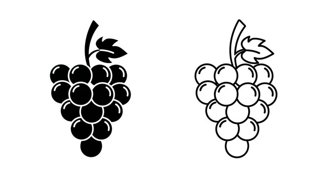 Black and white grapes illustration, vector, clipart, design, fruit, food, nature, vine, bunch, healthy Vector