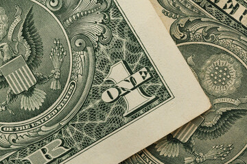 One dollar in close-up