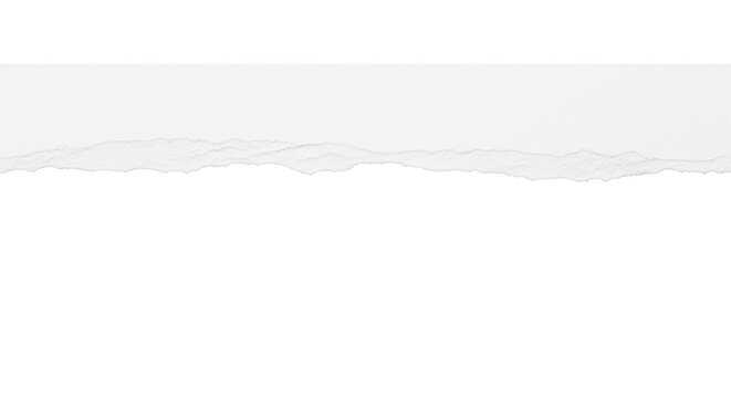Torn paper edge on transparent background with rough texture visible