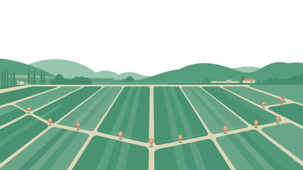 Agricultural Field with Crop Rows and Paths.