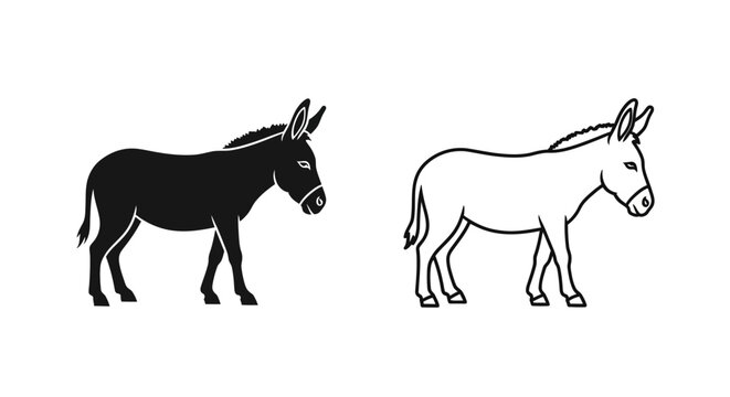 Two donkeys standing on white background - vector illustration Vector