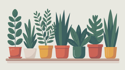 Collection of Various Potted Plants on Shelf.