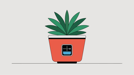 Potted Succulent Plant with Modern Pot.