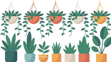 Collection of Various Potted Plants and Hanging Greenery.