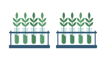 Green Plants in Glass Containers on Racks.