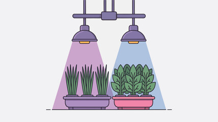 Potted Plants Under Colored Grow Lights.