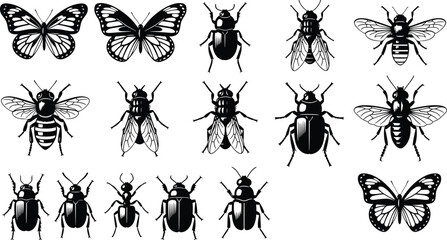 Butterfly and beetle insect engraving collection vintage bug vector illustration set © Md