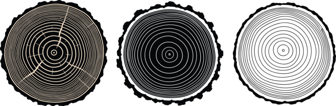 Three tree ring cross sections show the age of the tree, the rings are different colors and patterns, isolated on white background