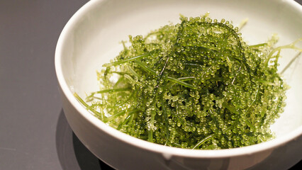 新鮮な海ぶどう 沖縄の特産品 クビレズタ