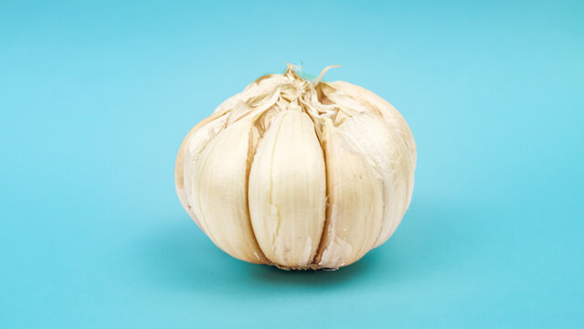 A garlic bulb isolated - on light green background. 