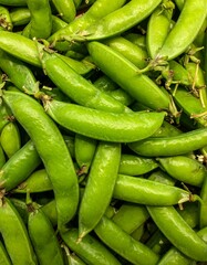 Top View Background Fresh Green