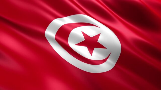 waving tunisia national flag animation loop