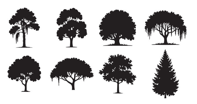 pine fir and broadleaf tree silhouettes