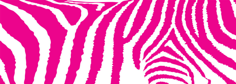 pink zebra stripes illustration