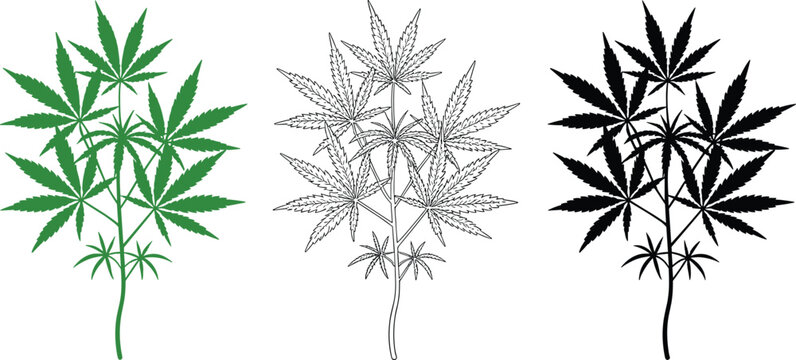 Cannabis plant leaf illustration set in green outline and silhouette styles, medicinal marijuana botanical vector isolated on white background